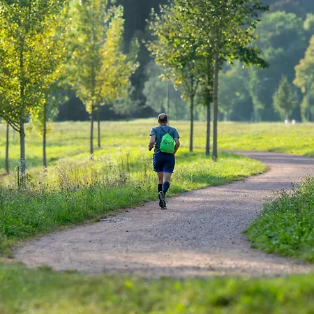 אכסניה Freiburg פרייבורג